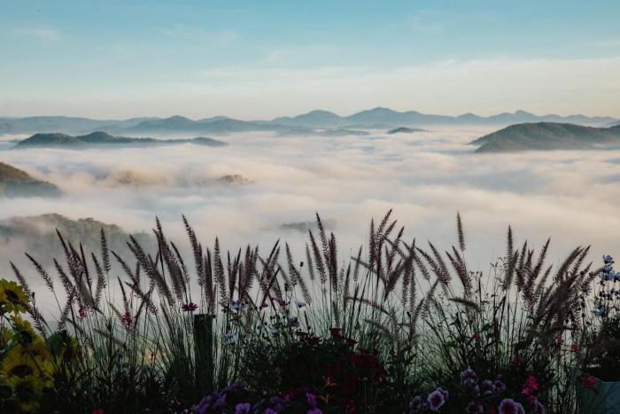 cloud9 and cloud view glamping