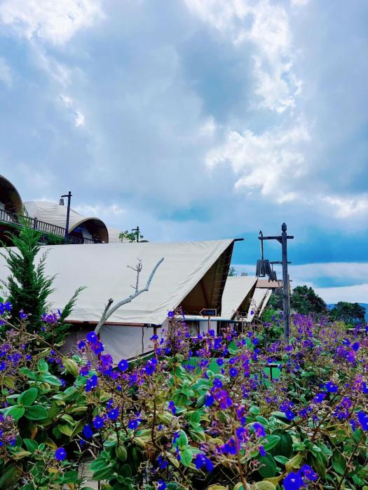 cloud9 and cloud view glamping