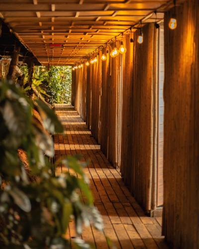 cloud9 and cloud view glamping