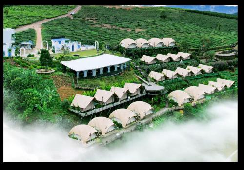cloud9 and cloud view glamping