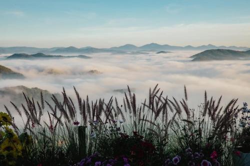 cloud9 and cloud view glamping