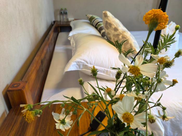 mango villa nong khiaw