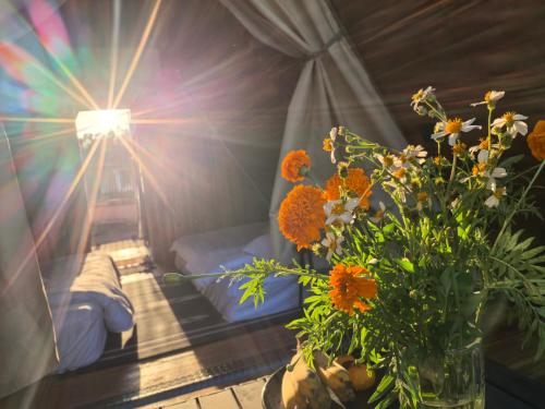 mango villa nong khiaw