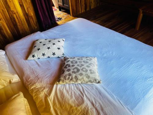 mango villa nong khiaw