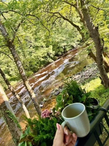 river dance cottage
