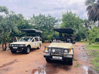 south luangwa national park