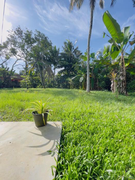 riverside nature haven villa