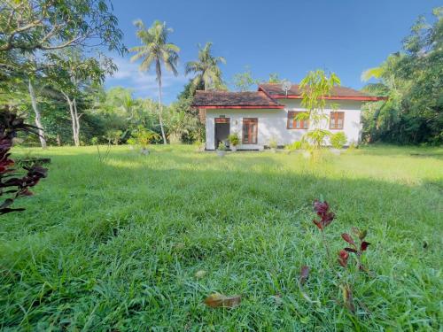 riverside nature haven villa