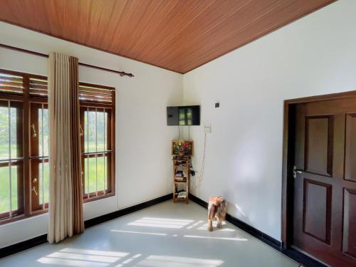 riverside nature haven villa
