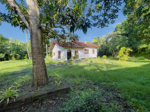 riverside nature haven villa