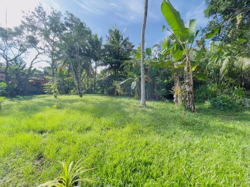 riverside nature haven villa