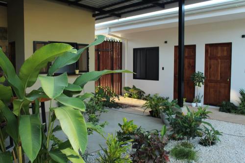 tamarindo