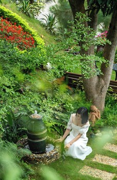 lamaster homes f1 8 venus resort