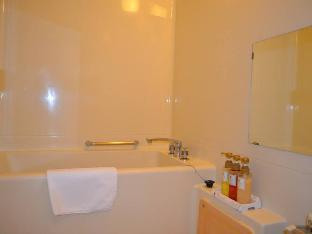 southern cross inn matsumoto