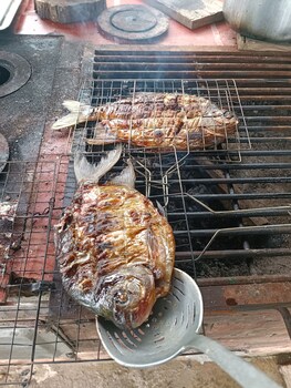 lejanias