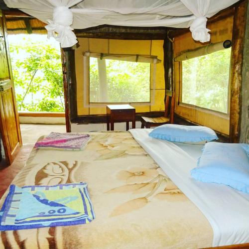dave cave eco lodge and campsite
