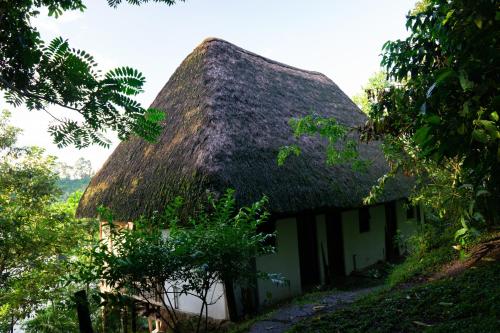 dave cave eco lodge and campsite