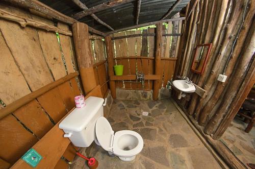 dave cave eco lodge and campsite
