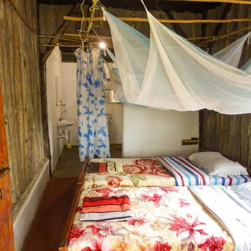 dave cave eco lodge and campsite