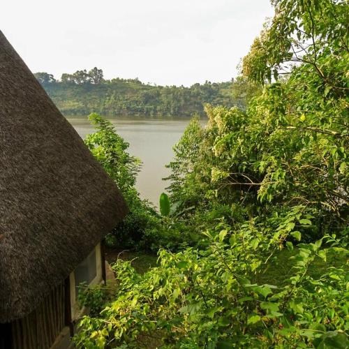 dave cave eco lodge and campsite