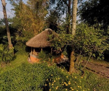 ruwenzori view guest house