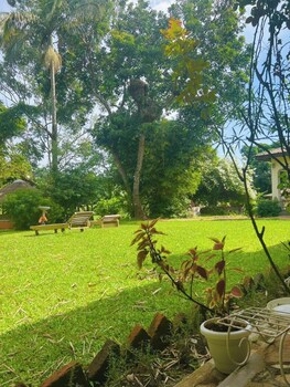 ruwenzori view guest house