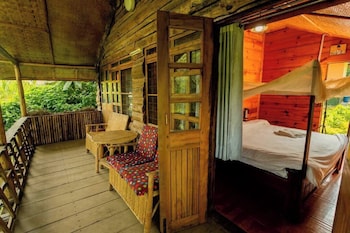 ruwenzori view guest house
