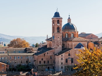 urbino