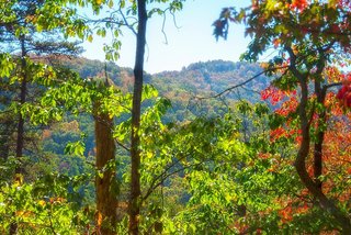 Best Western Travelers Rest Greenville,Greenville - Spartanburg>>Greenville,3 star