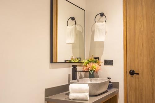 stadios cozy rosa negra suite