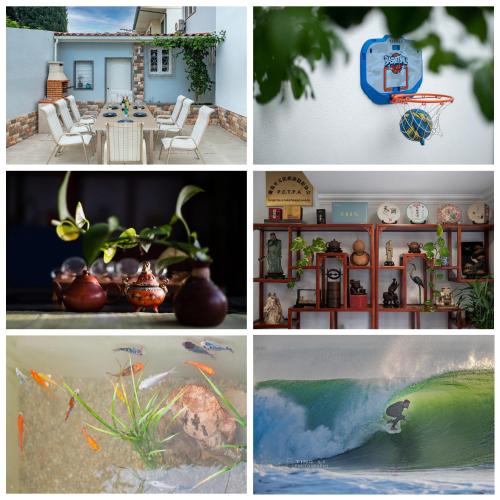 gold coast photography inn