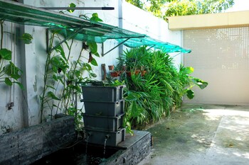 amazing 3 br best house homestay pt