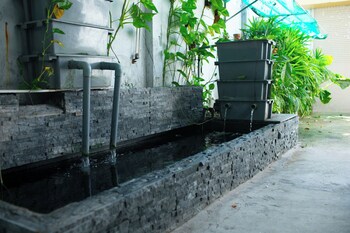 amazing 3 br best house homestay pt