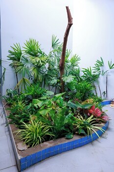 amazing 3 br best house homestay pt