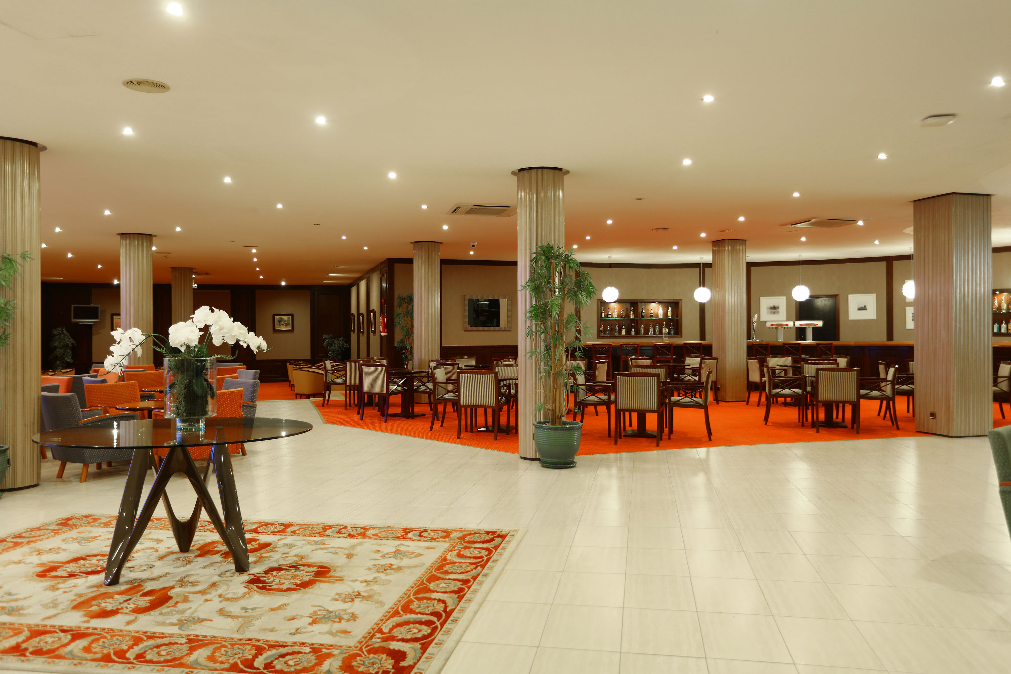 bahia principe sunlight coral playa adults only