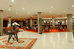 bahia principe sunlight coral playa adults only
