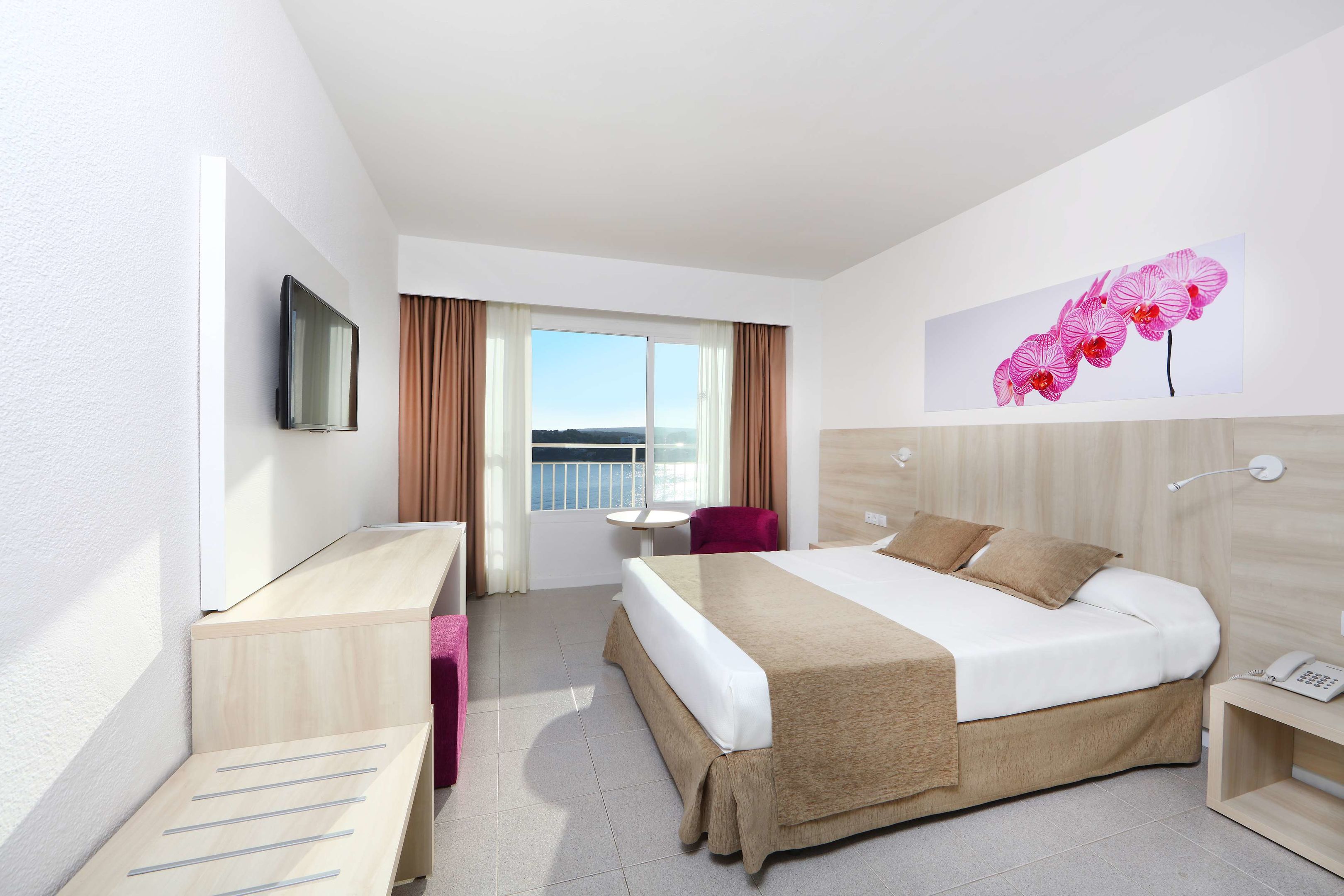 bahia principe sunlight coral playa adults only