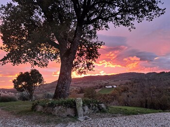 le scintille bandb