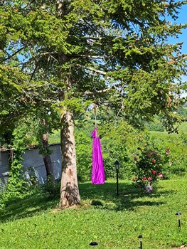 le scintille bandb