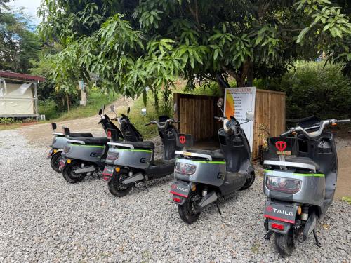 papaya resort nong khiaw