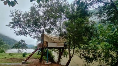 papaya resort nong khiaw