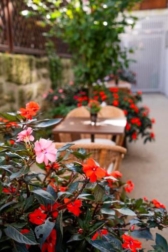 ocean boutique guesthouse