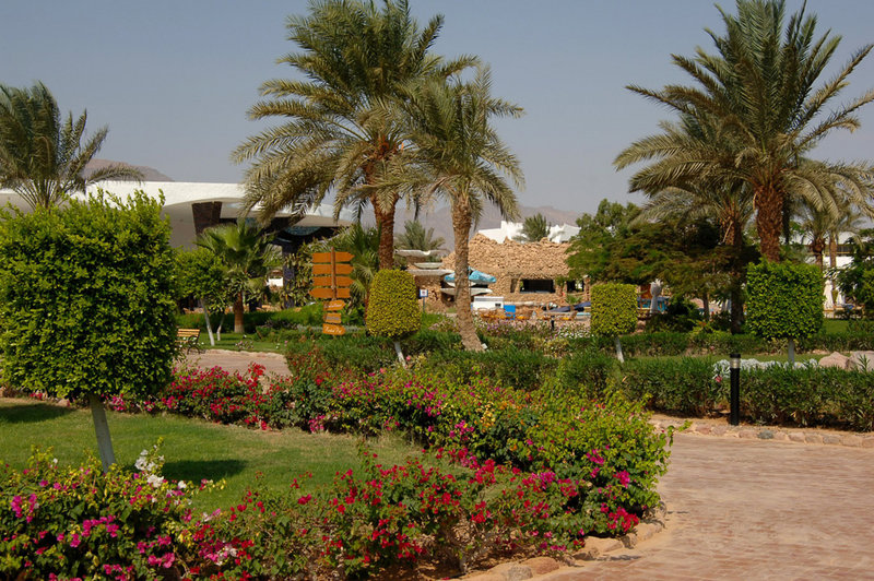 time coral resort nuweiba