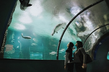 neobeds