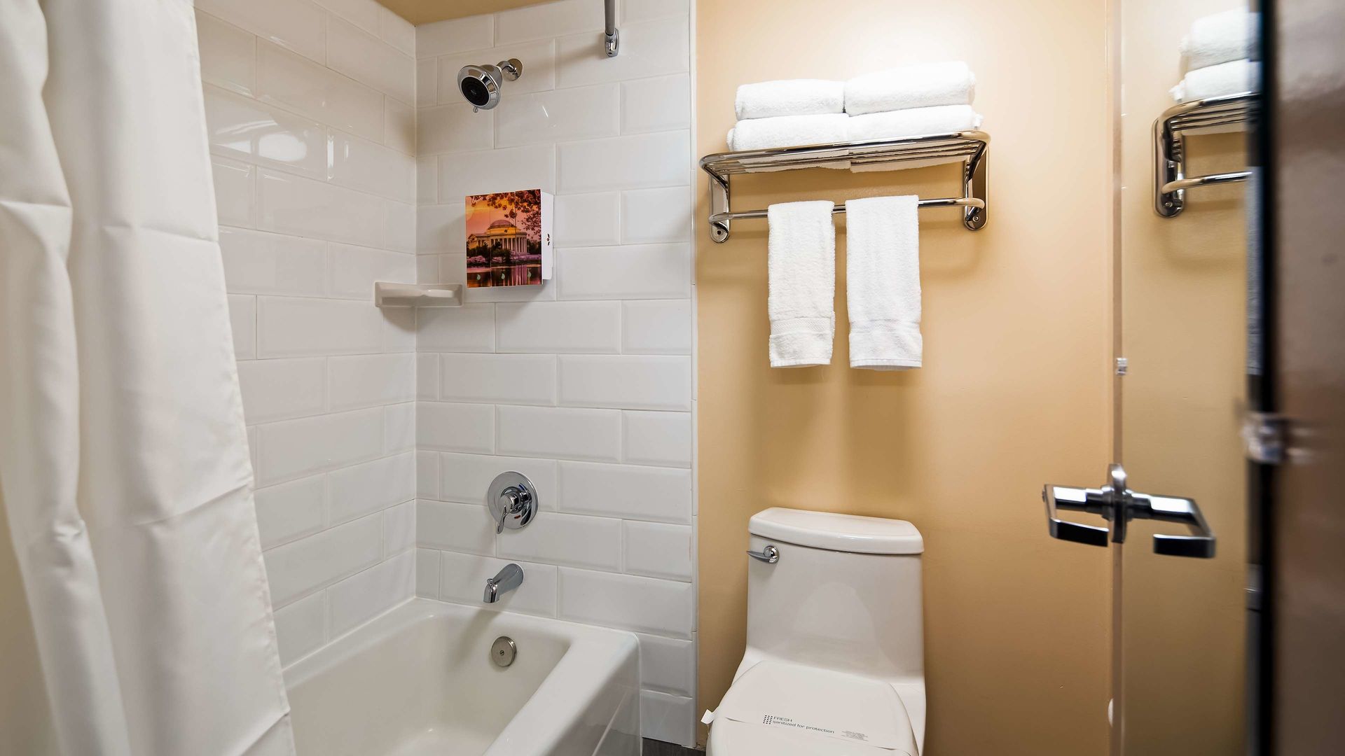best western springfield