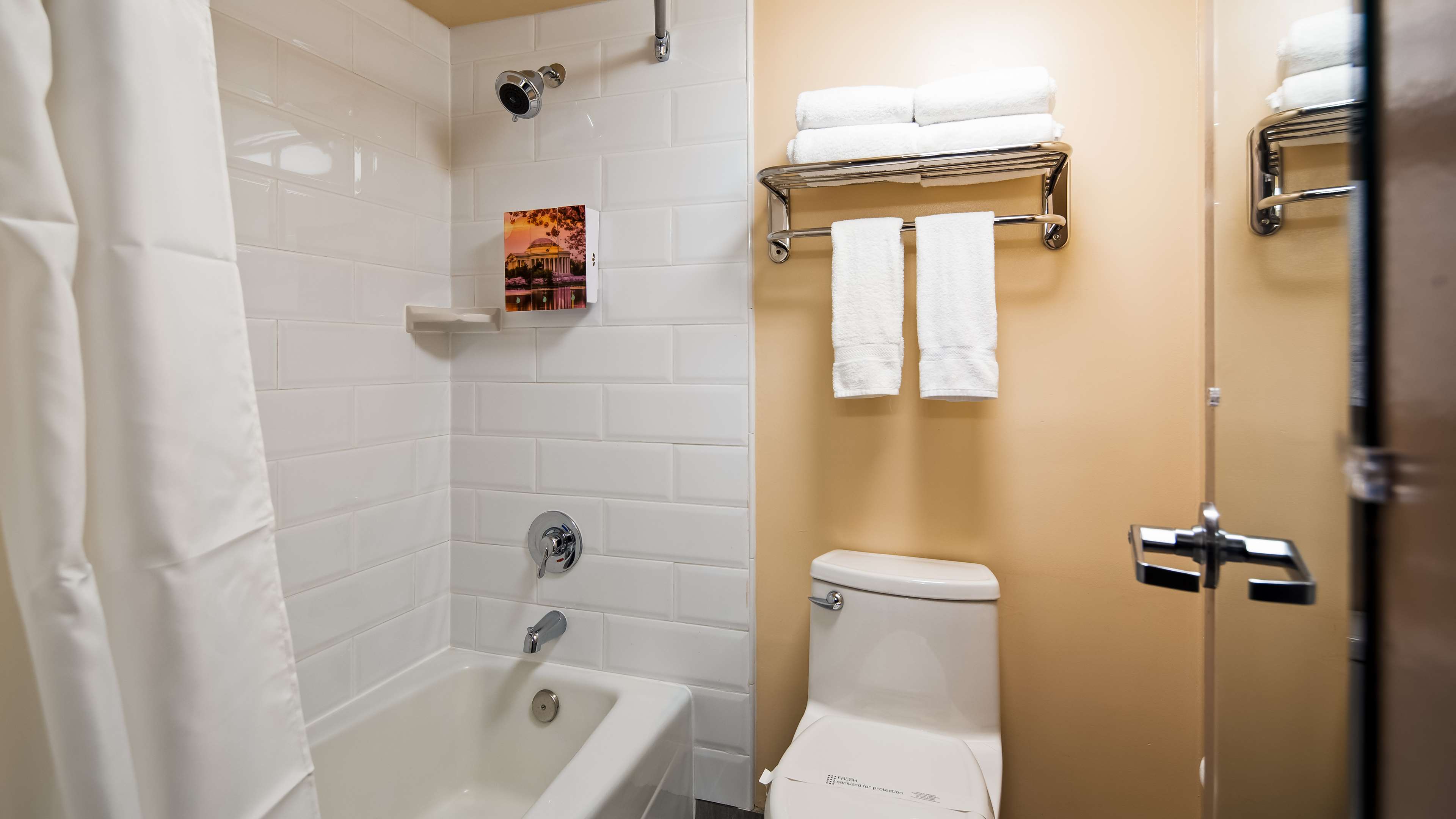 best western springfield