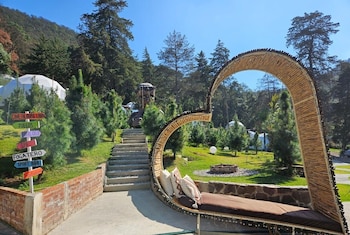 hotel glamping fuerza ancestral