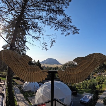 hotel glamping fuerza ancestral