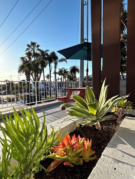 west coast surf and stay