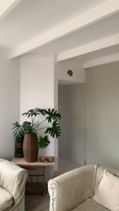 casa amonite hostel boutique